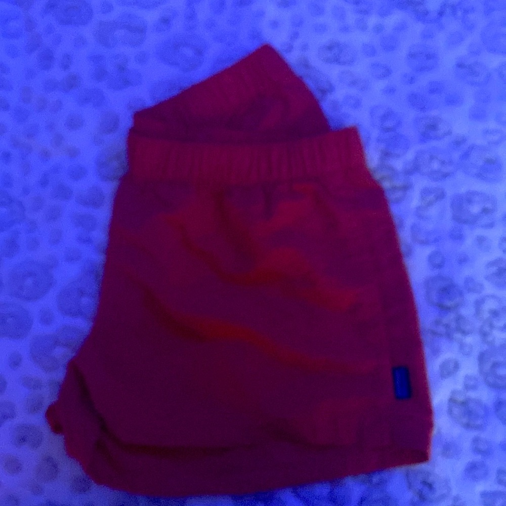 Patagonia shorts
